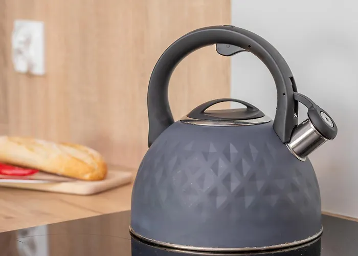 Appartement Cosy With Terrace And Parking In By Rent Like Rumia